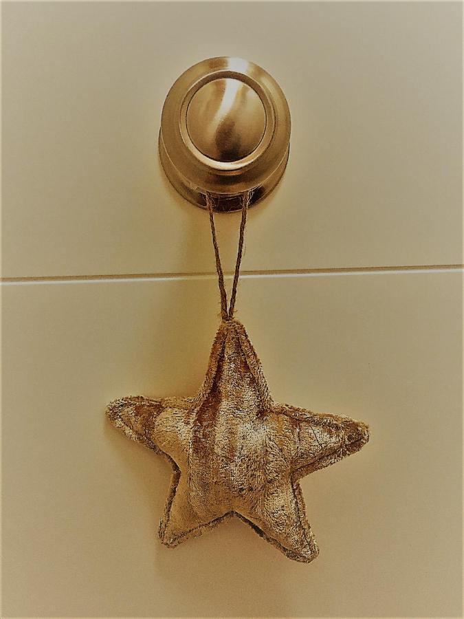 Apartamentos Aranda - Atico Duero Aranda de Duero Buitenkant foto